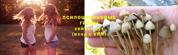 ALPHA PVP Покачи