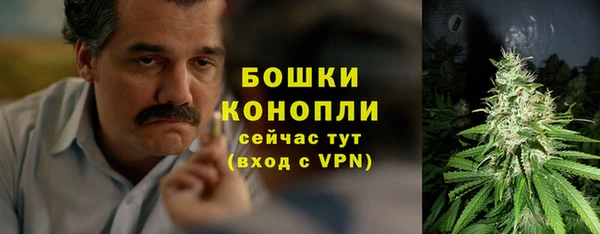эйфоретик Видное